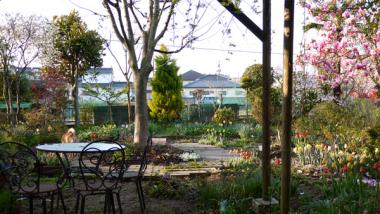120428niwa.jpg