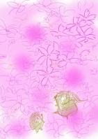 隠密森&宗様H2