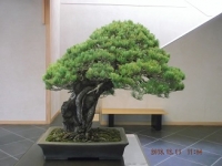 2013_12112013忘年会0001