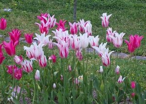 20120430kinta2.jpg