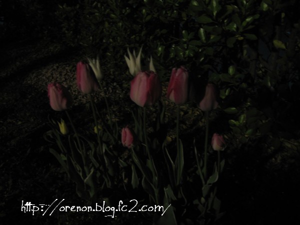 120429_1.jpg