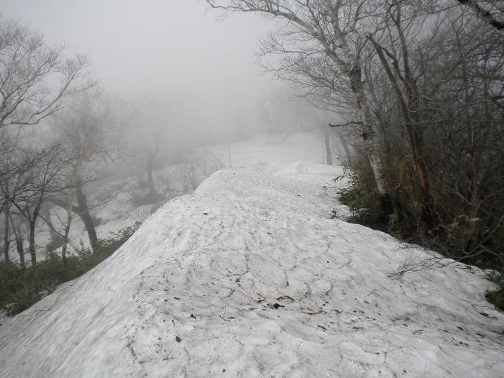 DSCN4148.jpg