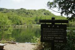 2013‐6‐9志賀高原 (56)
