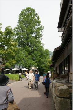 2013‐6‐9志賀高原 (79)