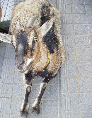 2014022201.jpg
