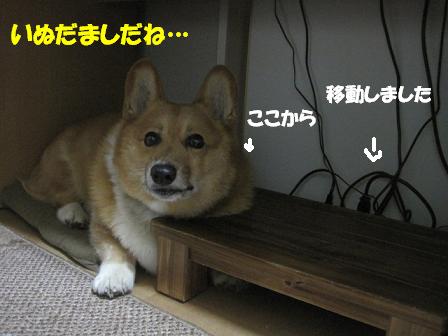 だまされろと?