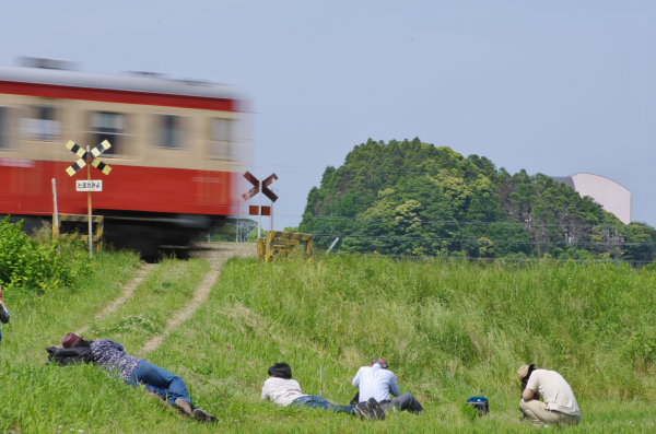 撮影地紹介 いすみ鉄道 四季彩々