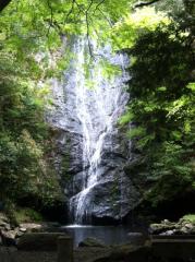 琴滝2