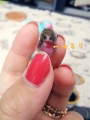 2013111217580873d.jpg