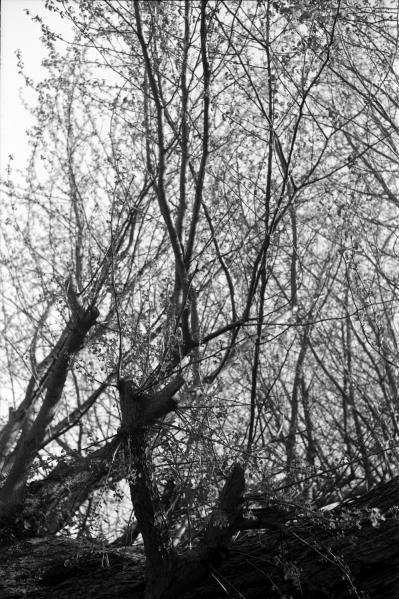 2013.04 mamiyapress 90mm tmax400-01_R