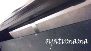 2013061203.jpg