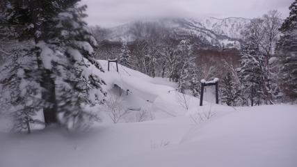 20120214燧裏林道P1030694