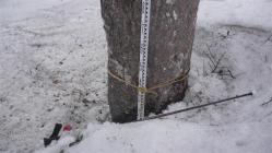 20120420至仏山残雪調査P1030809 (大)