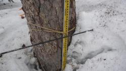 20120420至仏山残雪調査P1030807 (大)