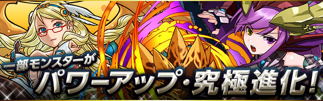 ソニアホルス修正