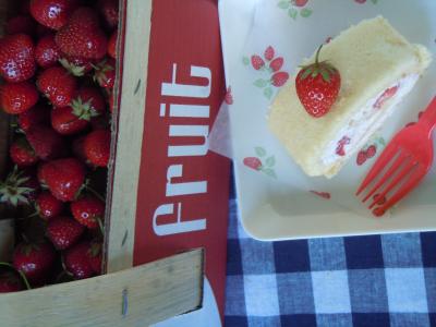 diary10_07_11.jpg