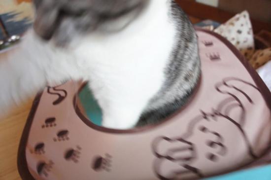 pan