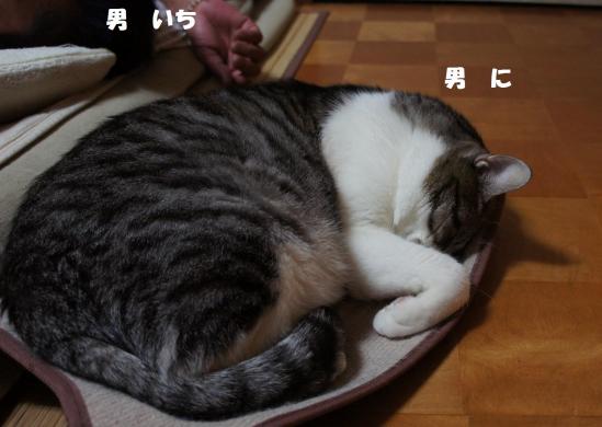 pan