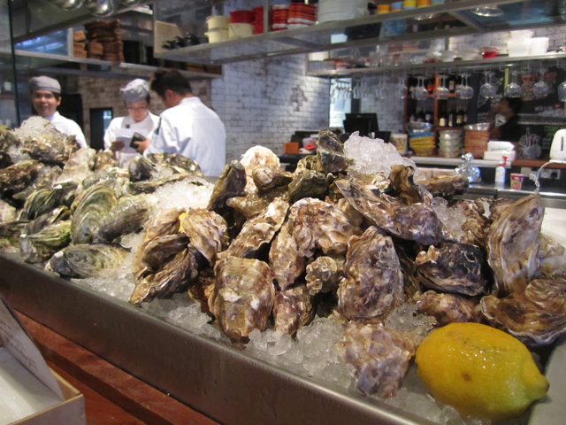 Oyster-7.jpg