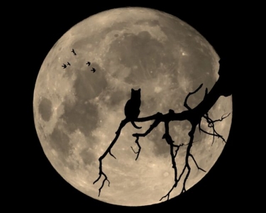 moon.jpg