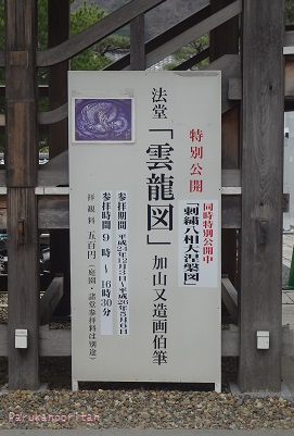 DSC01396.jpg