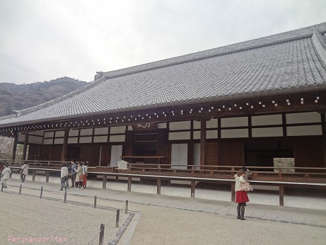 DSC01399.jpg