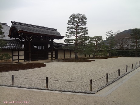 DSC01400.jpg