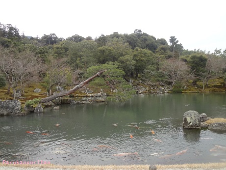 DSC01405.jpg