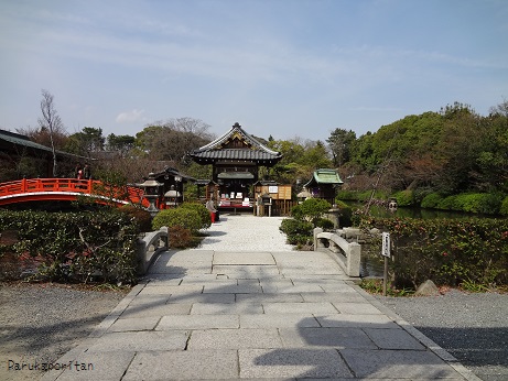 DSC01565.jpg