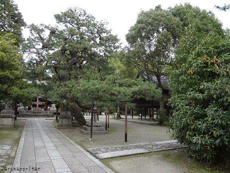 DSC01713.jpg