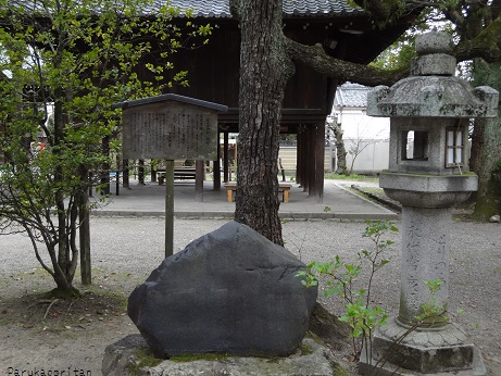 DSC01716.jpg