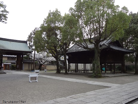 DSC01718.jpg