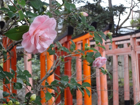 DSC01723.jpg