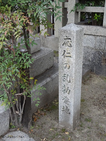 DSC01745.jpg