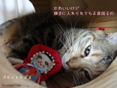 DSC02089.jpg