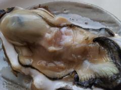 20130412_125151.jpg