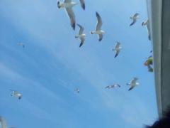 IMG_201305029339.jpg