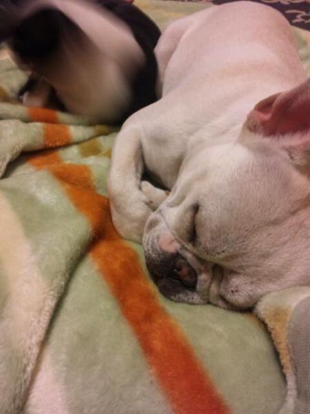 20120405_025459.jpg
