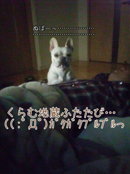 20123261267.jpg
