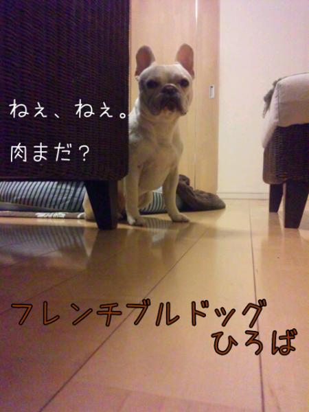 20123271213.jpg