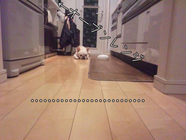 20124322497.jpg