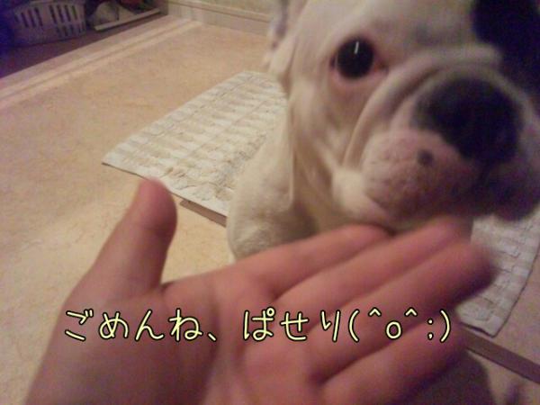 20124341238.jpg