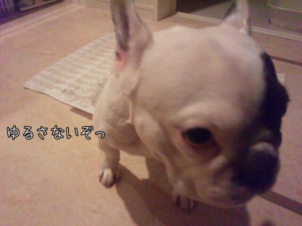 20124341341.jpg