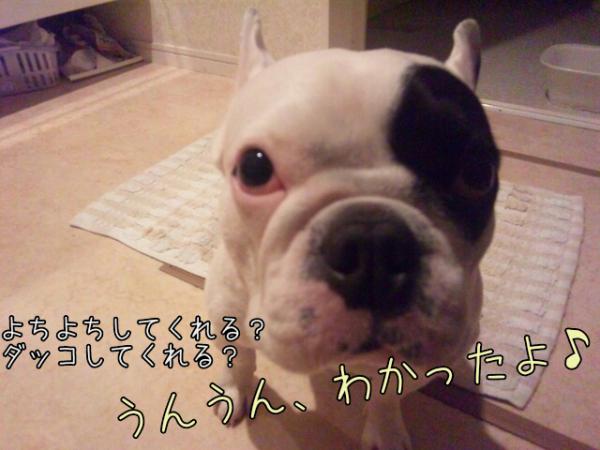 20124341637.jpg