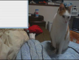 2012-01-23shc.png