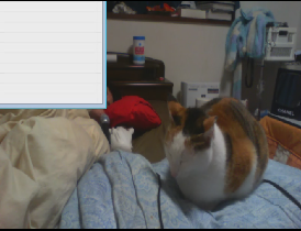 2012-01-23shd.png