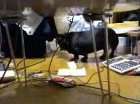 2012-01-23wn.png