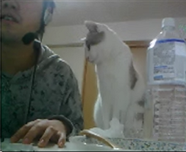 2012-01-23wna.png