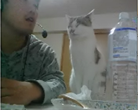 2012-01-23wnb.png