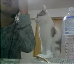 2012-01-23wnd.png